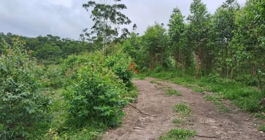 Chácara / sítio à venda no Centro, Igaratá