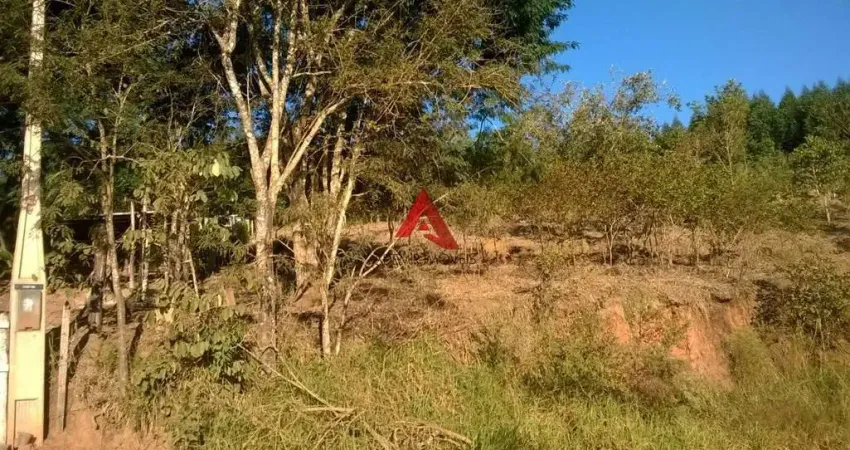 Terreno à venda na Toca do Leitão, Santa Branca