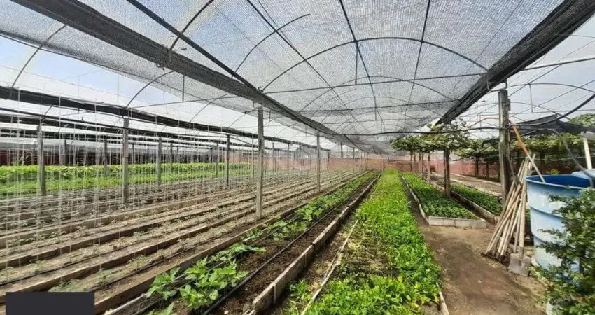 SÍTIO DENTRO DE PORTO ALEGRE 6.629,10 metros quadrados de área no bairro Campo Novo.