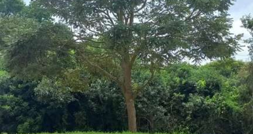 Terreno à venda na Avenida Hélio Borenstein, 1, Vila Oliveira, Mogi das Cruzes