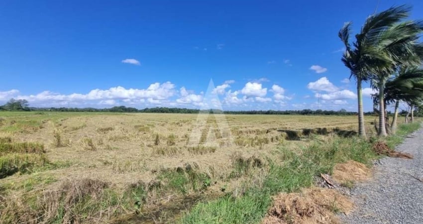 Terreno para alugar, 10000.00 m2 por R$15000.00  - Morro Do Meio - Joinville/SC