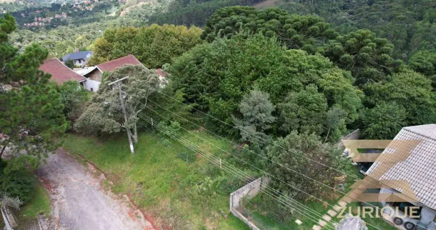 Terreno à venda, 1000 m² por R$ 350.000,00 - Alto da Boa Vista - Campos do Jordão/SP