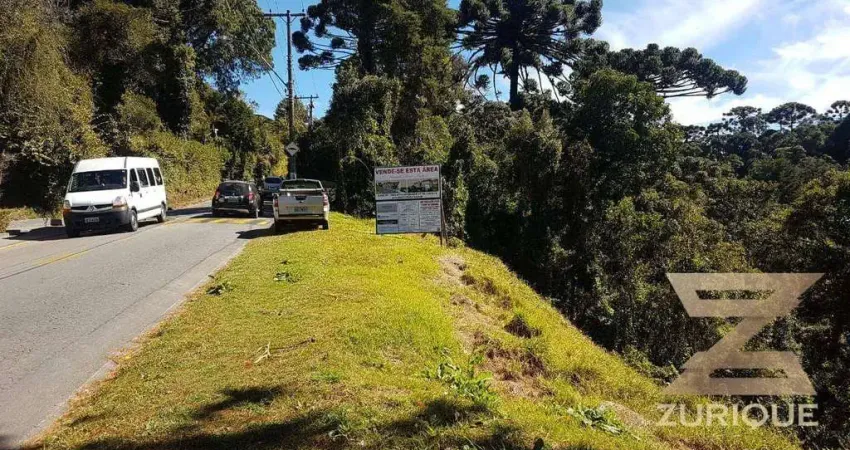 Terreno à venda, 5860 m² por R$ 800.000,00 - Morro Do Elefante - Campos do Jordão/SP