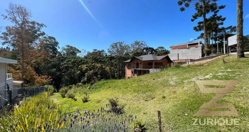 Terreno à venda, 1302 m² por R$ 1.250.000,00 - Alto Do Capivari - Campos do Jordão/SP