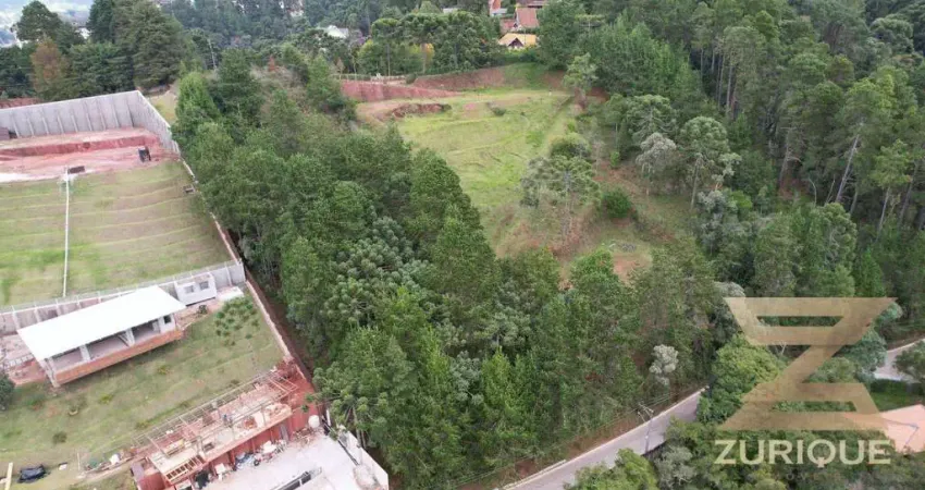 Terreno à venda, 6111 m² por R$ 1.100.000 - Morro Do Elefante - Campos do Jordão/SP