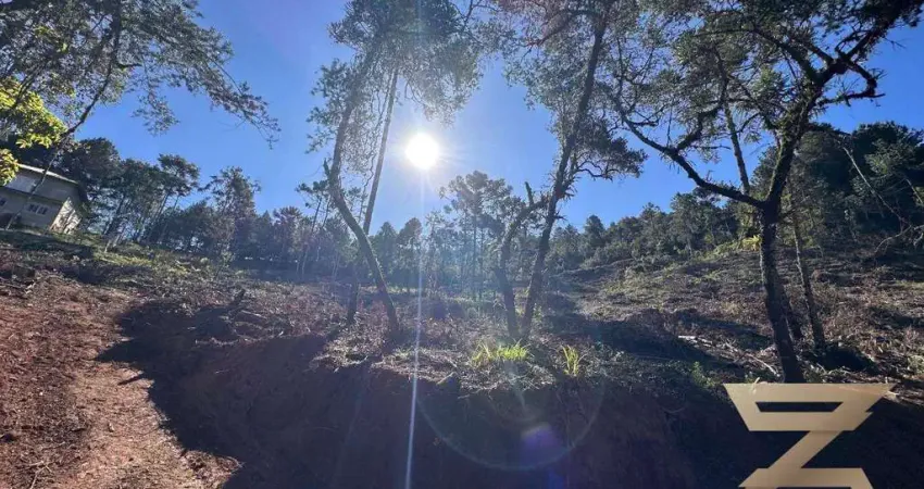 Terreno à venda, 1000 m² por r$ 190.000,00 - jardim três nascentes - campos do jordão/sp