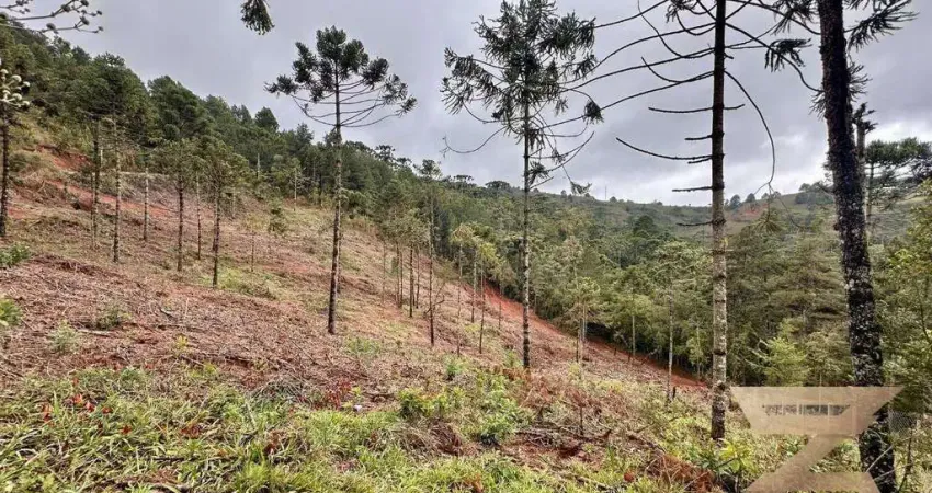 Terreno à venda, 1170 m² por r$ 250.000,00 - jardim europa - campos do jordão/sp