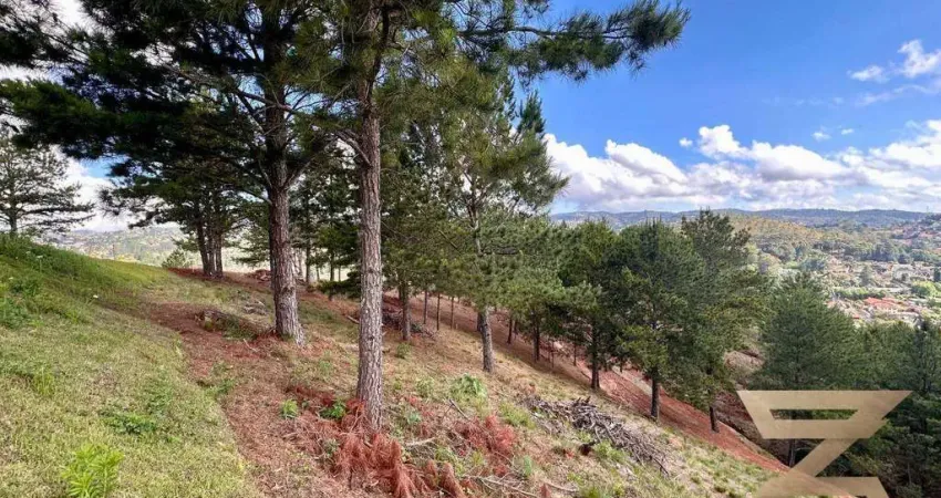 Terreno à venda, 1007 m² por r$ 240.000 - atalaia - campos do jordão/sp