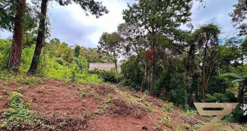 Terreno à venda, 1015 m² por R$ 295.000,00 - V Natal - Campos do Jordão/SP