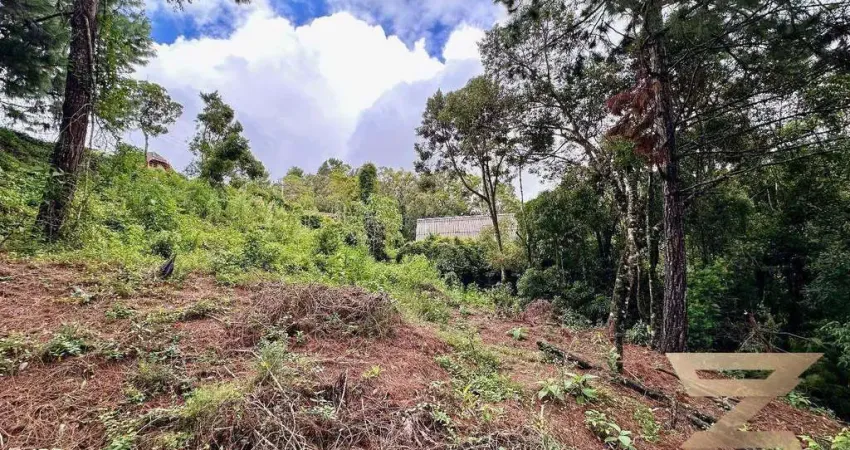 Terreno à venda, 1020 m² por R$ 325.000,00 - Vila Natal - Campos do Jordão/SP