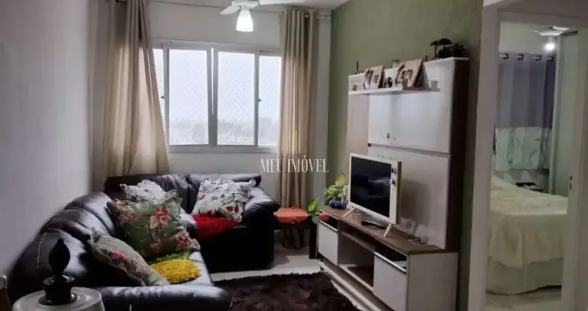Apartamento Padrão à venda na Vila Mirim - Praia Grande - SP: