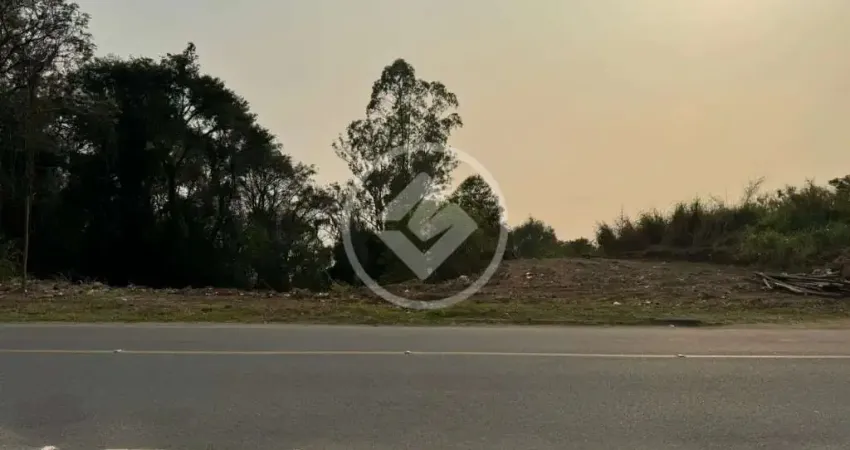 Terreno Agronômica 652,50 mts2 codigo: 83740