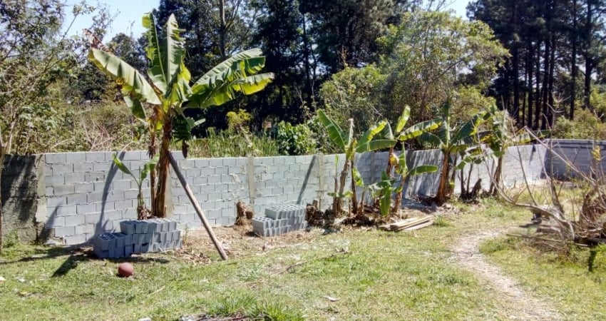 Chácara / sítio com 3 quartos à venda na Rua Manoel dos Santos, 200, Meu Cantinho, Suzano