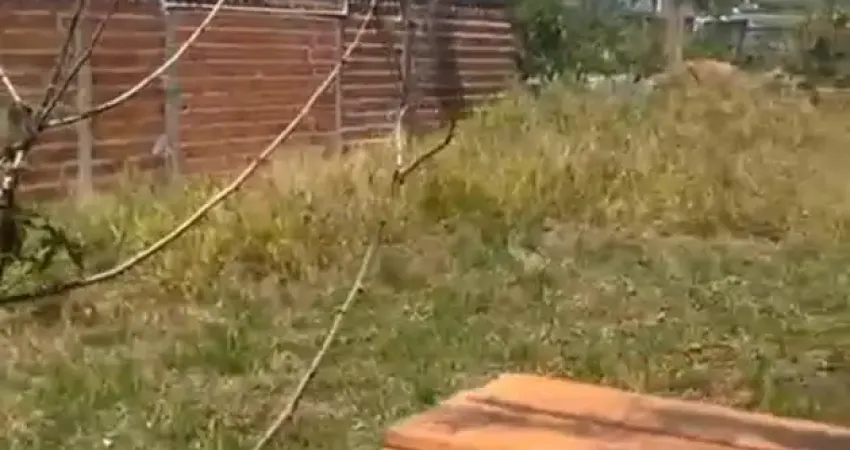 Apresentamos uma oportunidade única de adquirir um lote com área de 500m², caracterizado por sua excelente topografia. este terreno oferece fácil acesso a uma variedade de comércios, garantindo con