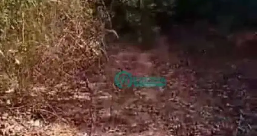 Terreno à venda, 10000 m² por r$ 300.000,00 - curralinho - jaboticatubas/mg