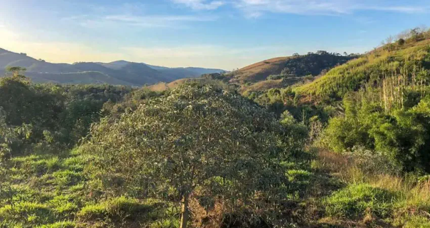 Terreno à venda na Estrada União e Indústria, 11460, Itaipava, Petrópolis