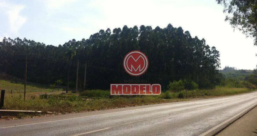 Área à venda, 90000 m² por r$ 3.600.000,00 - santa luzia - charqueada/sp