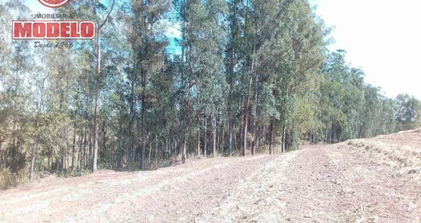 Sítio com 3 dormitórios à venda, 1064800 m² por r$ 9.000.000,00 - santa luzia - charqueada/sp