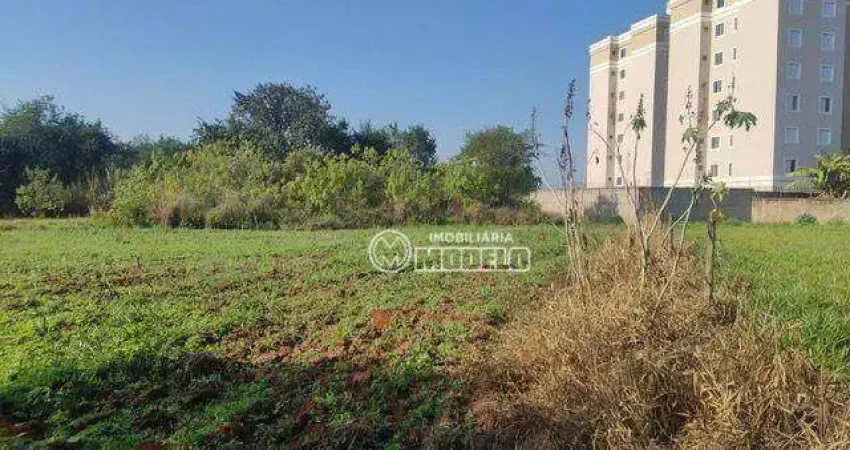 Terreno à venda, 3870 m² por r$ 1.550.000 - dois córregos - piracicaba/sp