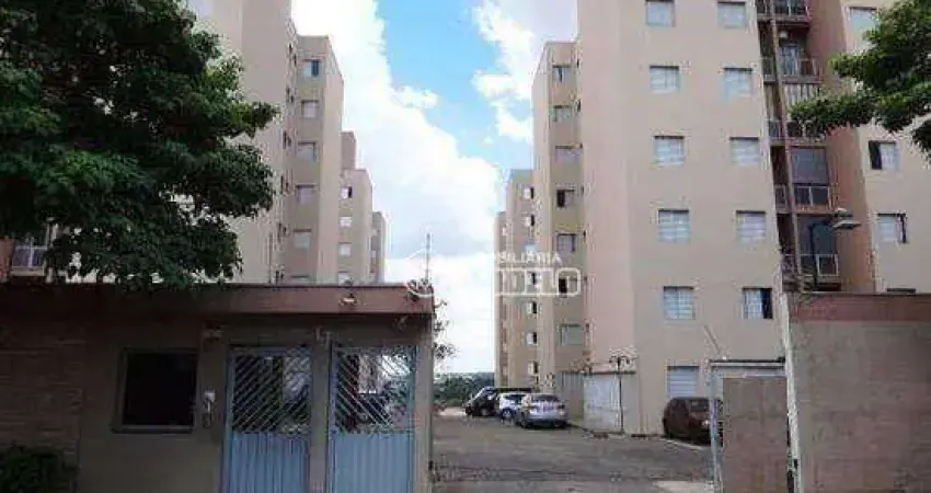 Apartamento com 3 dormitórios para alugar, 50 m² por r$ 2.119,00/mês - paulicéia - piracicaba/sp
