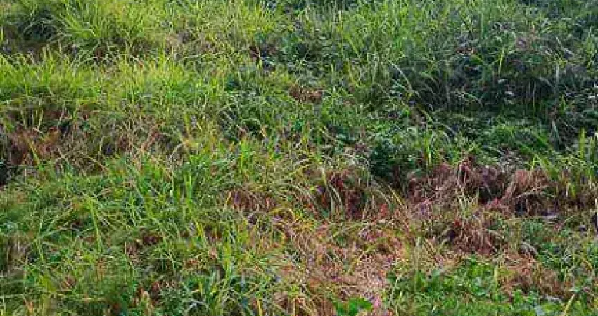 Terreno em condomínio fechado à venda na Estrada da Roselândia, Centro, Cotia