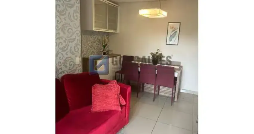 Apartamento com 2 quartos à venda na AMADEU VEZZARO, R, Jardim São Caetano, São Caetano do Sul