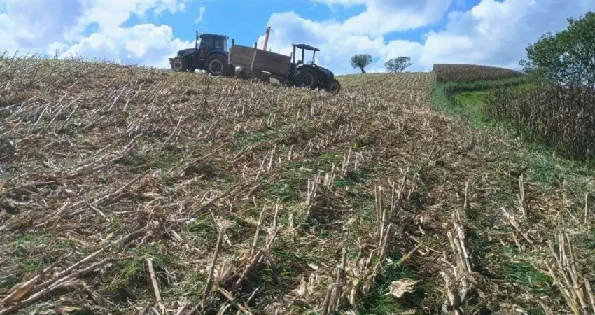 Chácara / sítio com 1 quarto à venda em Santana de Caldas, Caldas 
