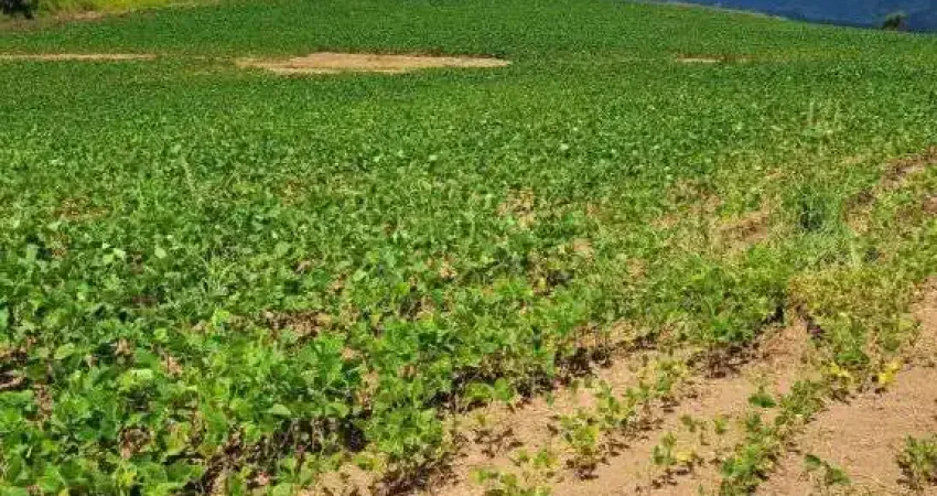 Chácara / sítio com 1 quarto à venda no Centro, Caldas 