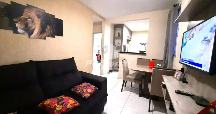 Apartamento para venda e aluguel  2 quarto(s),  Vila São José, Taubaté - AP5584