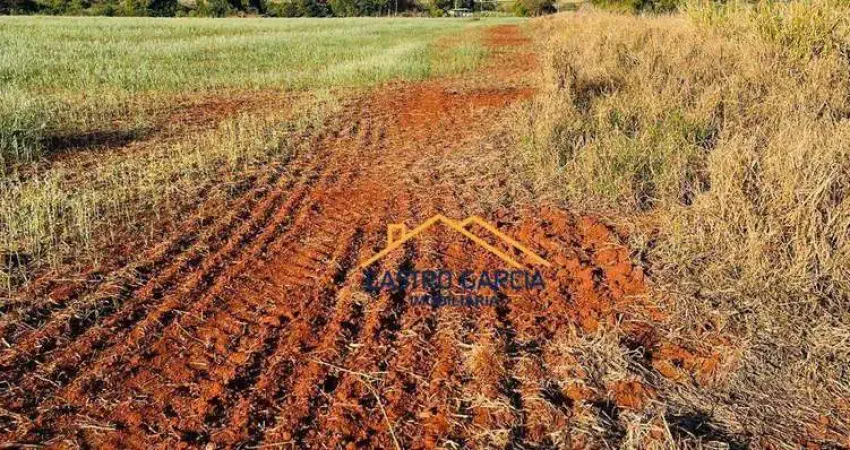Terreno comercial à venda no Jardim Souza Queiroz, Santa Bárbara D'Oeste