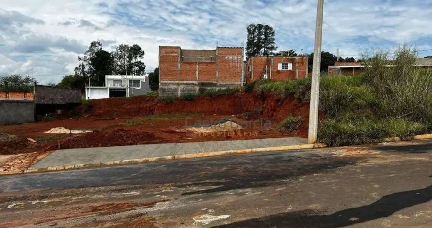 Terreno à venda, 250 m² - vista alegre - santa bárbara d'oeste/sp**aceita permuta por carro e financiamento