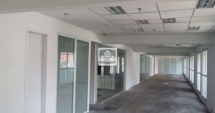 SALA COMERCIAL LOCAÇÃO Santana,  516m² (andar todo)
