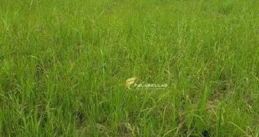 Terreno à venda, 590 m² por r$ 744.000,00 - parque da represa - jundiaí/sp