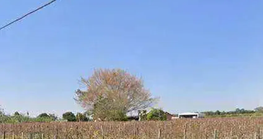 Sítio à venda, 48 m² por R$ 3.000.000,00 - Chácaras Videiras de Itaici - Indaiatuba/SP