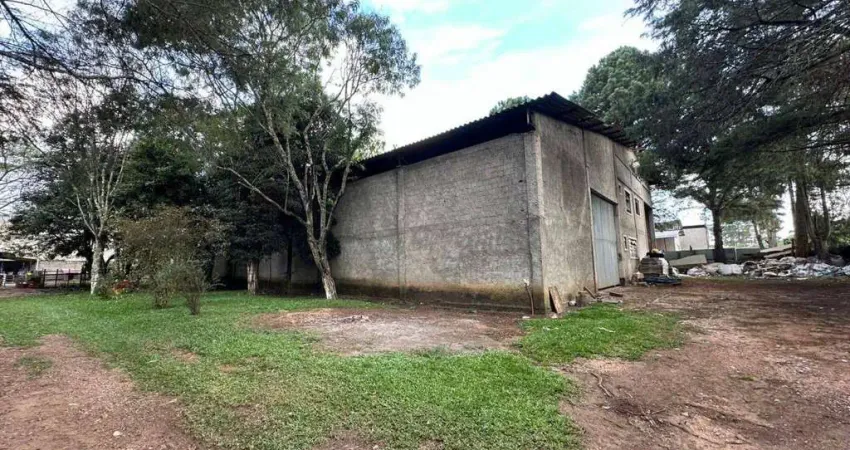 Barracão / Galpão / Depósito à venda na Rua Vagner Luís Boscardin, 0, Planta Laranjeiras, Piraquara