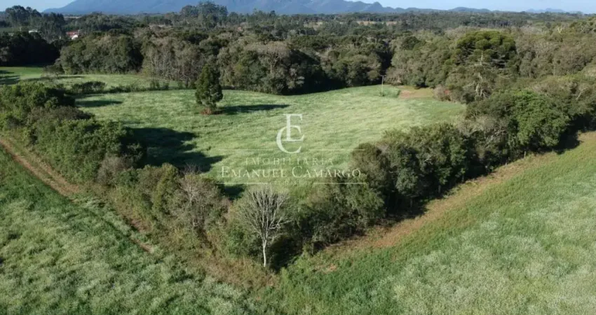 Chácara / sítio à venda na Rua Padre Phelippe Ledet, Planta Laranjeiras, Piraquara