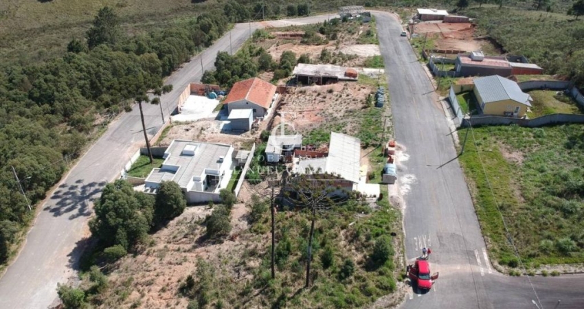 Terreno à venda na Avenida Doutor Vicente Machado, Centro, Campina Grande do Sul