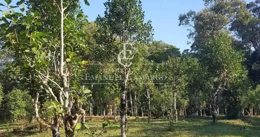 Chácara / sítio à venda na Rua Antônio Brudeck, Roça Nova, Piraquara