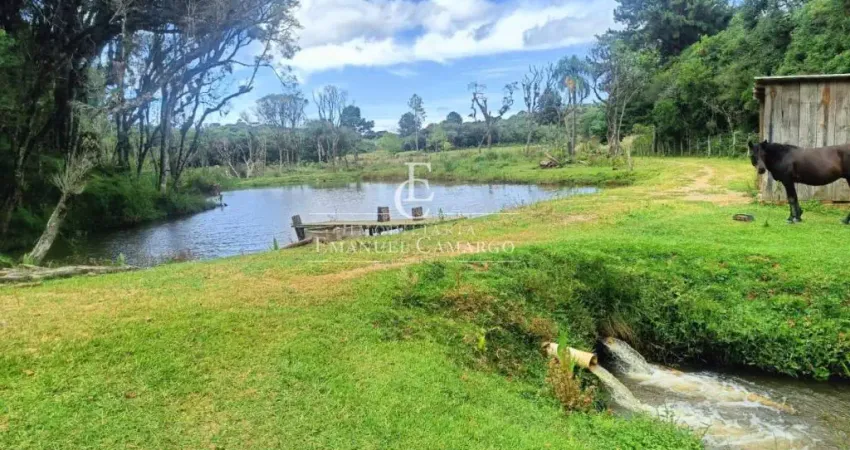 Chácara / sítio com 3 quartos à venda na Rua Antônio Brudeck, Roça Nova, Piraquara