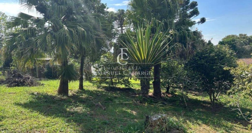 Chácara / sítio com 2 quartos à venda na Rua Angico, Vila Santa Maria, Piraquara