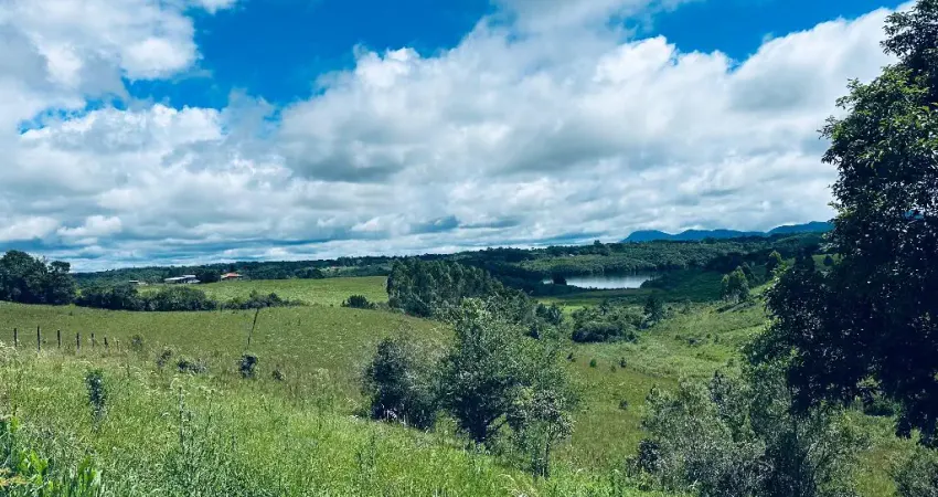 Chácara / sítio à venda na Rua João Fontana Pires, Colônia Santa Maria, Piraquara