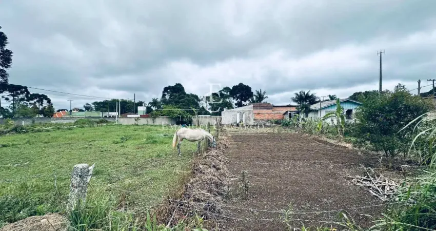 Terreno à venda na Rua Belmiro Moreira, Águas Claras, Piraquara