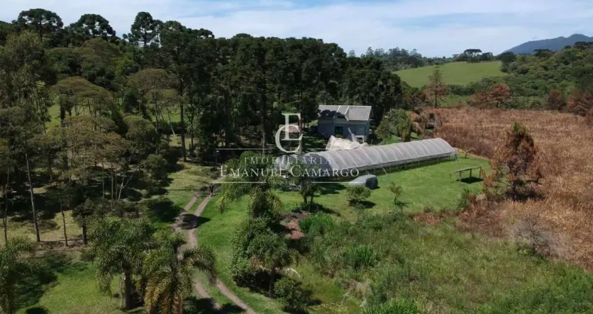 Chácara / sítio com 4 quartos à venda na Rua Nova Tirol, Colônia Santa Maria, Piraquara
