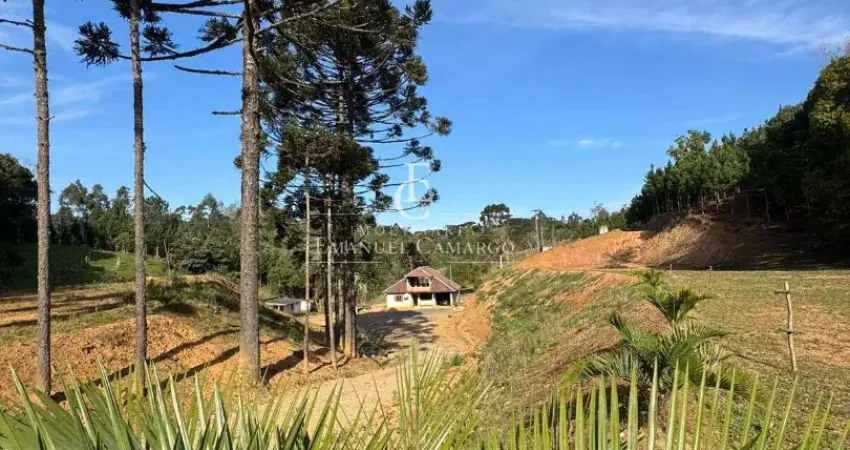 Chácara / sítio à venda na Rodovia Regis Bitencout, Borda do Campo, Quatro Barras