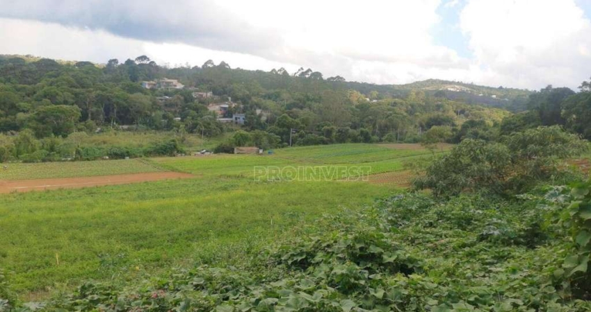 Área à venda, 86000 m² por R$ 12.900.000,00 - Caucaia do Alto - Cotia/SP