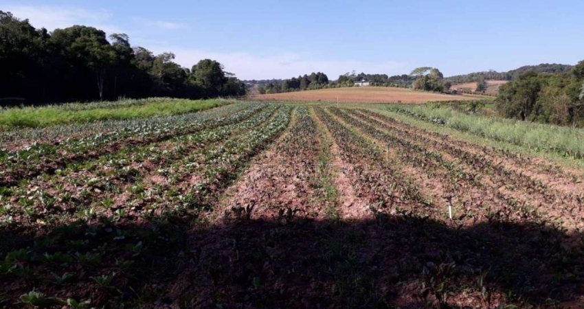 Área à venda, 26000 m² por R$ 1.040.000,00 - Bairro dos Mendes - Cotia/SP