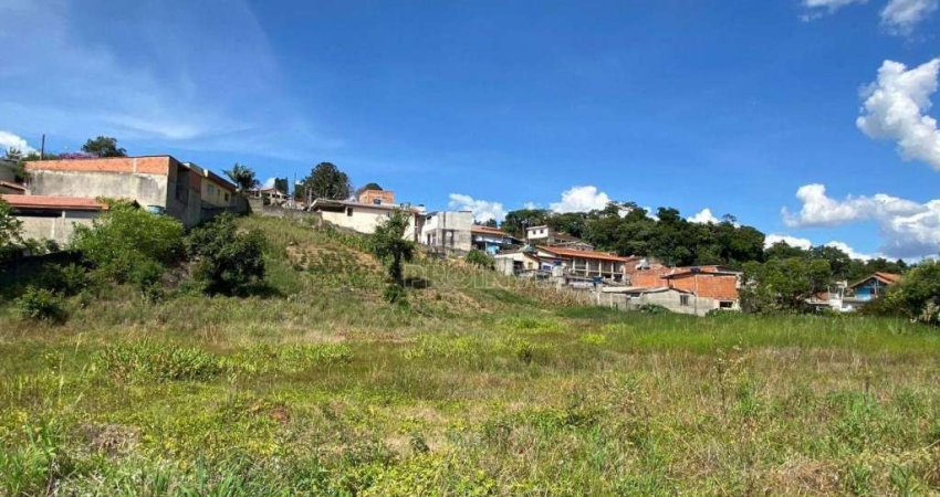 Terreno à venda, 4814 m² por R$ 2.166.300,00 - Centro - Vargem Grande Paulista/SP