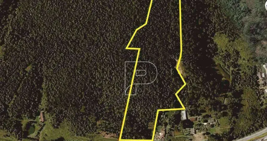 Área à venda, 63202 m² por R$ 8.220.000,00 - Itaquaciara - Itapecerica da Serra/SP