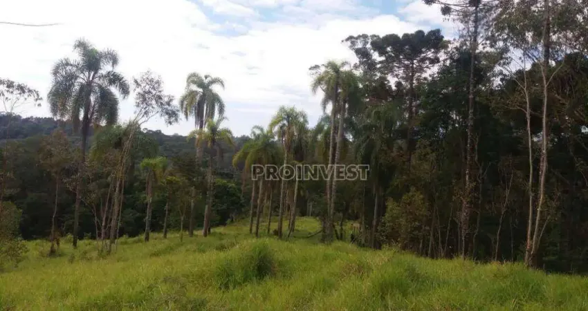 Área à venda, 21786 m² por R$ 1.633.750,00 - Jardim Nossa Senhora das Graças - Cotia/SP