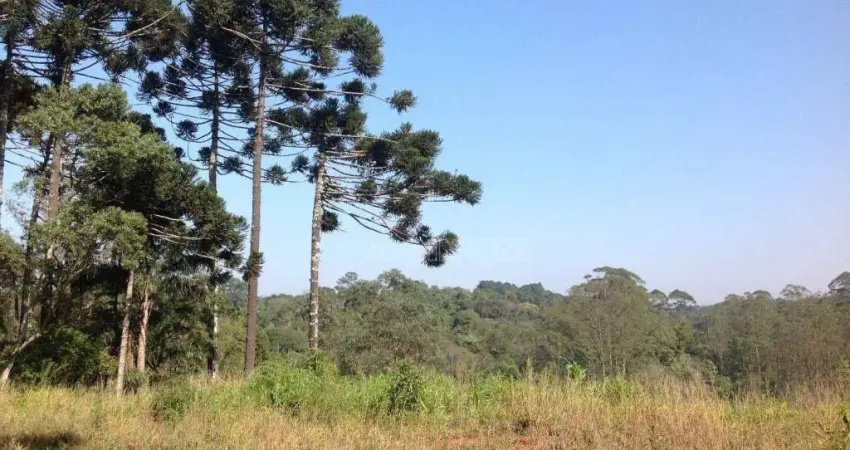 Área à venda, 2072 m² por R$ 2.128.000,00 - Cotia - Cotia/SP